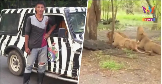 58-Year-Old Zookeeper Eaten Alive By Pack Of Lions In Front Of Tourists (Graphic Video)