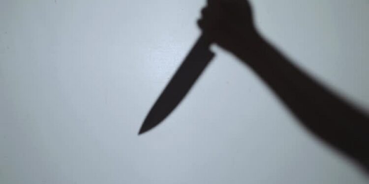 21-year-old Girl Stabs Babydaddy to Death in Delta (Video)