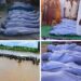 19 Wedding Guests D!e As Vehicle Plunges Into River After Bridge Collapsed In Zamfara (Photos)