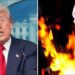 Donald Trump Announces Punishment For Burning US Flag