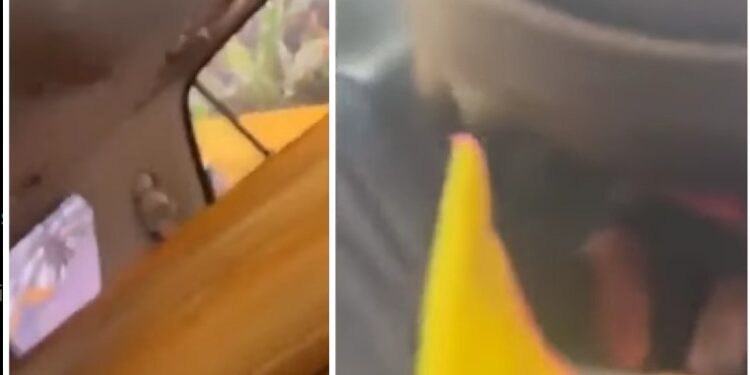 Shock In Imo As Widow Locked Inside Husband’s Ambulance, Forced To Drink Corpse Bath Water After Being Accused Of Killing Him (Video)