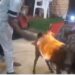 Outrage As Pastor Burns Goat Alive During Church Service (Video)