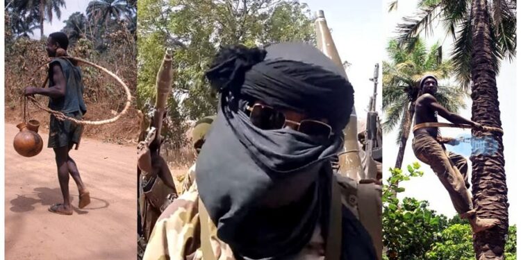 Terrorists Kidnap 2 Palm-Wine Tappers, Kill 1 After Family Offered N10,000 Ransom