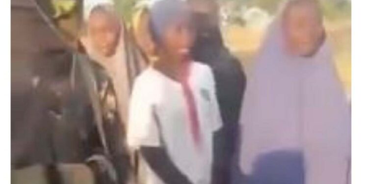 Government Could Not Rescue Kebbi Schoolgirls, They Negotiated With Us – Bandits Boasts In New Video