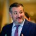 US Senator Ted Cruz to Introduce a Legislation Targeted at Nigerian Politicians Who Introduced Sharia And Blasphemy Laws