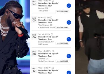 Burna Boy Reportedly Cancels Tour Shows Over Low-Ticket Sales