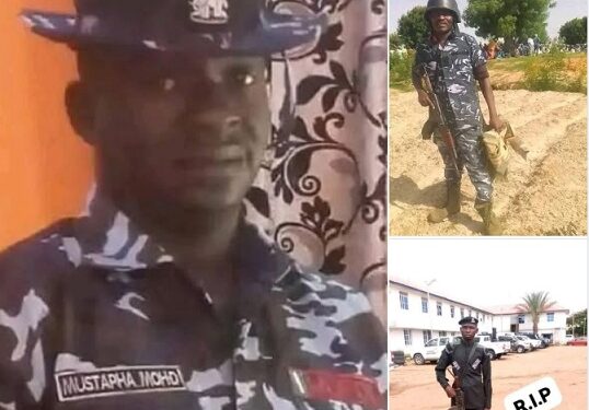 Five Police Officers K!lled, Two Injured As Herdsmen Ambush Tactical Team in Bauchi (Photos)