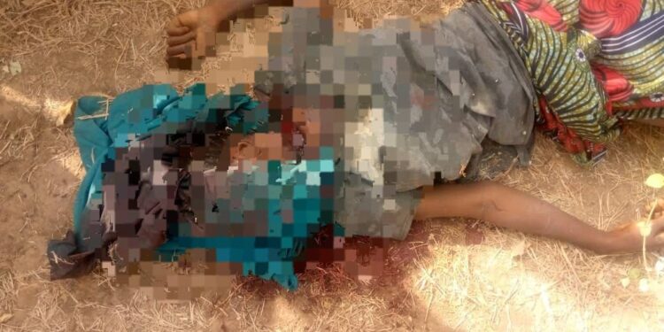 16-Year-Old Girl Brutally R@ped And M8rdered in Yobe (Photos)