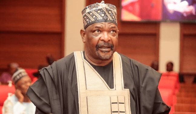 Politicians’ Children, Chinese Companies Are Still Guarded – Ningi Protests Withdrawal Of His Police Orderly During Plenary (Video)