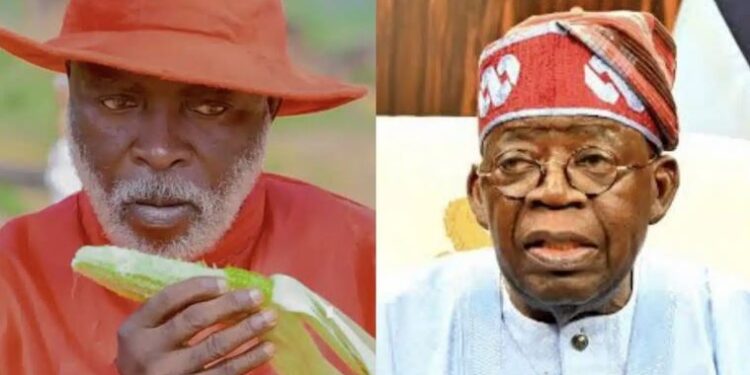 Nollywood Actor Arrested Over Involvement In Coup Plot Against Tinubu