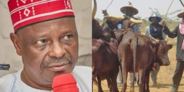 Alleged Christian Persecution: US Lawmakers Consider Visa Ban, Asset Freeze Against Kwankwaso, Miyetti Allah