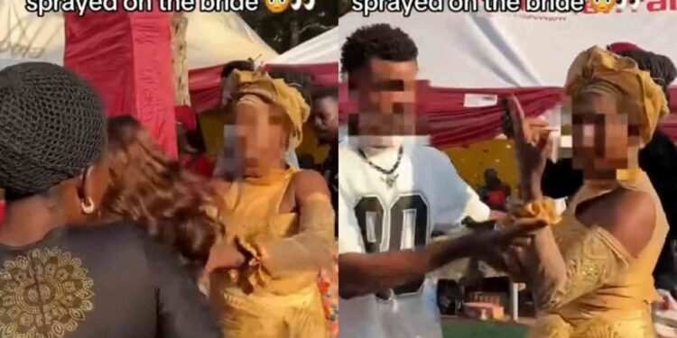 Drama As Groom’s Mother Clashes With Asoebi Girl On Dance Floor Over Money Sprayed On Bride (Video)