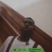 The Moment Nigerian TikToker, Peller Was Chased Out Of Alake’s Palace During Tour (Video)