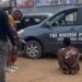 Outrage in Delta: Handcuffed Suspect Shot at Close Range by Police Officer Sparks Nationwide Anger (Video)