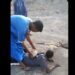 Kidnappers Demand N30m Ransom As They Beat UNIJOS Student To The Brink Of Death (Videos)