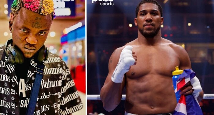 I Will Take You Down For ₦1 Billion – Portable Challenges Anthony Joshua To a Boxing Match (Video)