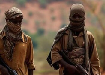 ‘All The Security Forces Sent To Attack Me Are My Boys’ – Terrorist Says