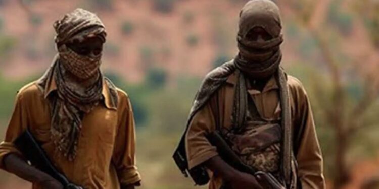 ‘All The Security Forces Sent To Attack Me Are My Boys’ – Terrorist Says