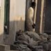Man Jailed For Storing Human Faeces Outside His Home in Kano