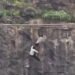 Horror: 19-Year-Old Man Dragged His Father And Fell To Their Death From India Hill, Mother Joined Them Few Seconds Later (Video ‘Viewers Discretion’)