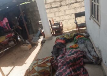 Boko Haram Invades Adamawa Community, K!lls Residents, Burn Down Houses (Photos)