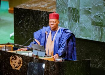 Nigeria Demands Two Permanent UN Seats for Africa (Video)