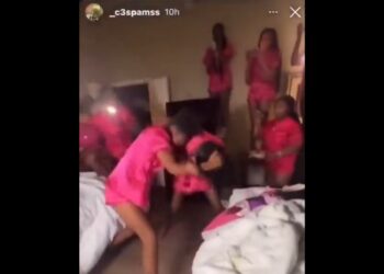 Bridal Shower Turns Boxing Match as Ladies Trade Blows in Viral Video (Watch)