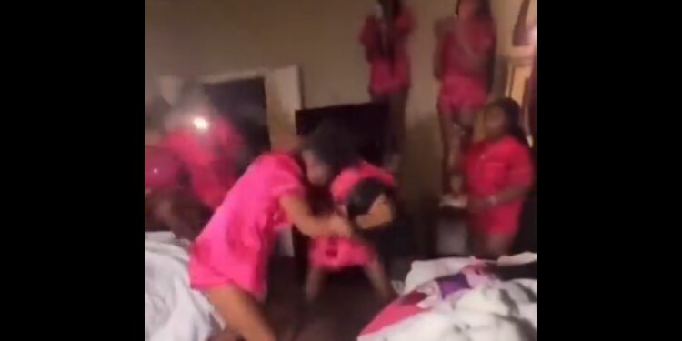 Bridal Shower Turns Boxing Match as Ladies Trade Blows in Viral Video (Watch)